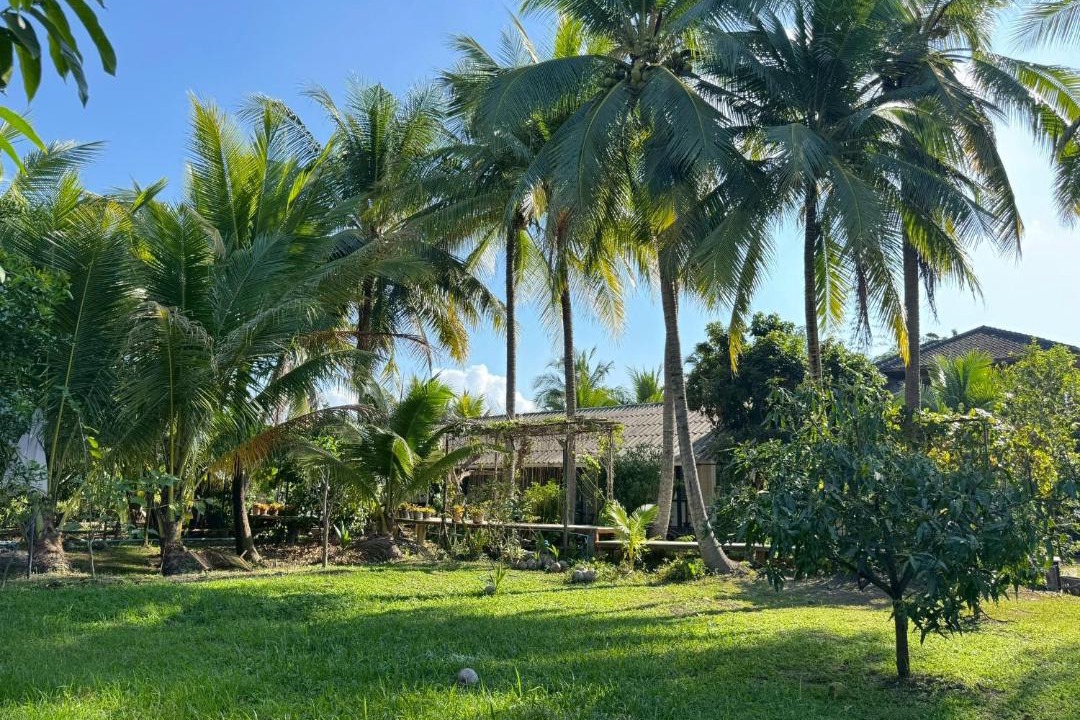 Photo of Others in Lamphun