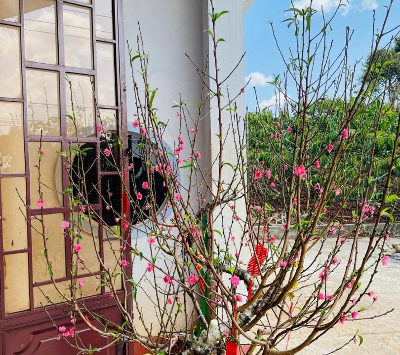 Photo of Others in Di Linh
