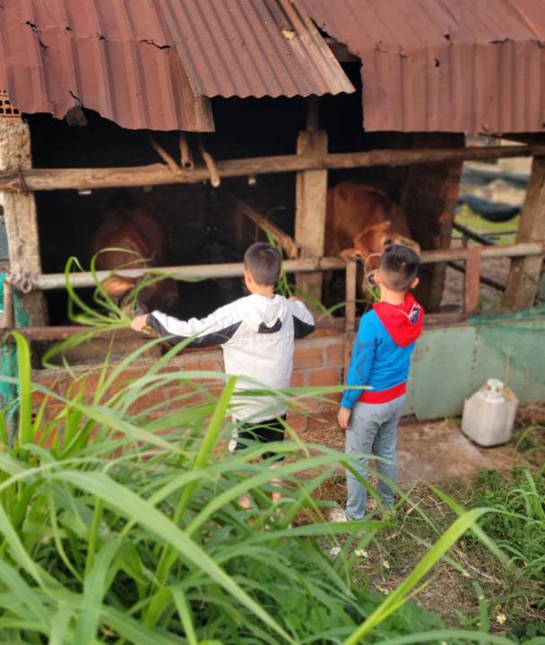 Photo of Others in Quy Nhon