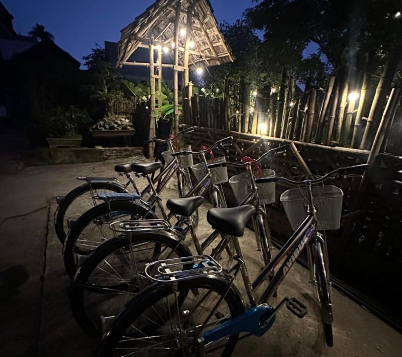Photo of Others in Ninh Binh