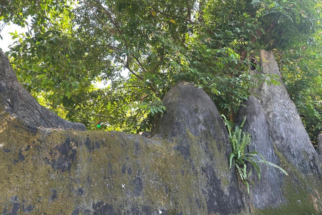 Photo of Others in Xuyen Moc