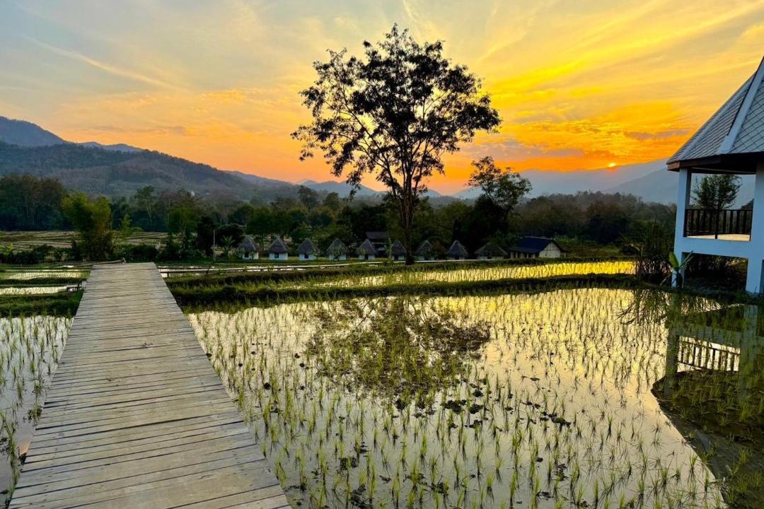 Photo of Others in Luang Prabang