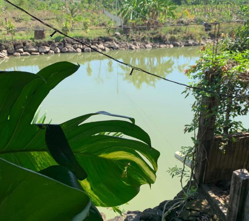 Photo of Others in Trang Bom