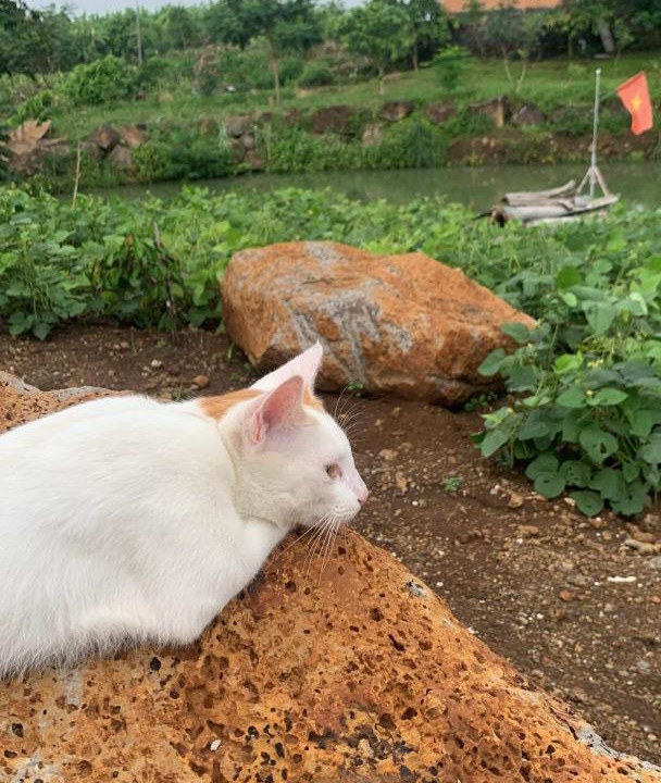 Photo of Others in Trang Bom