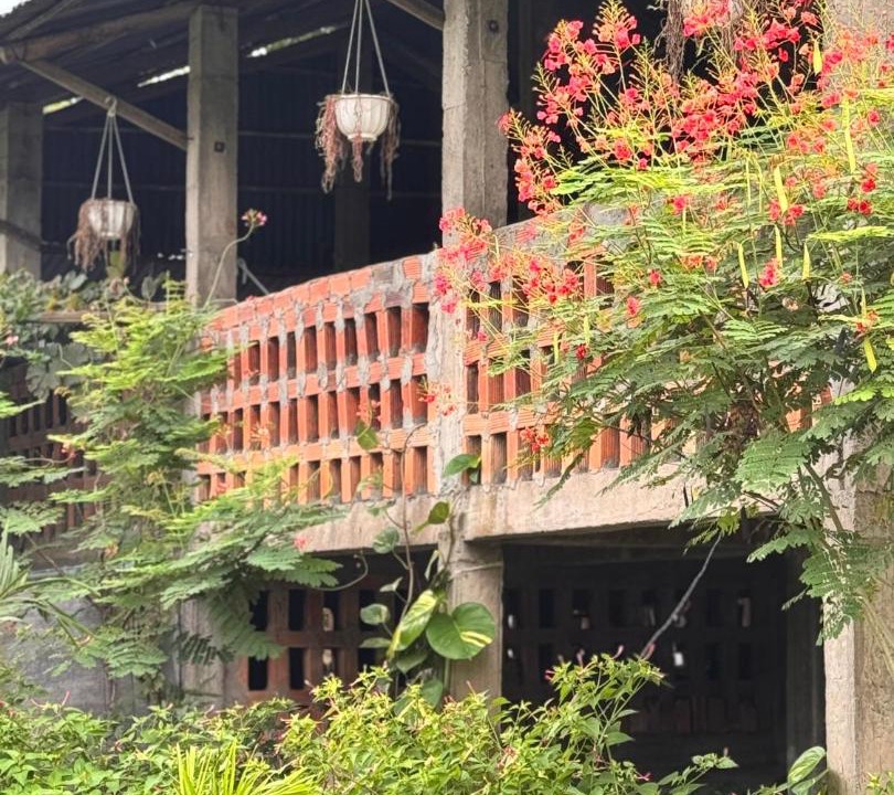 Photo of Others in Trang Bom