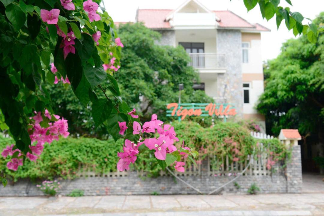 Photo of Others in Hoang Hoa