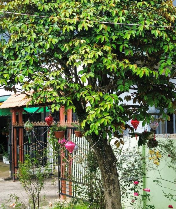 Photo of Outdoor in Duc Trong