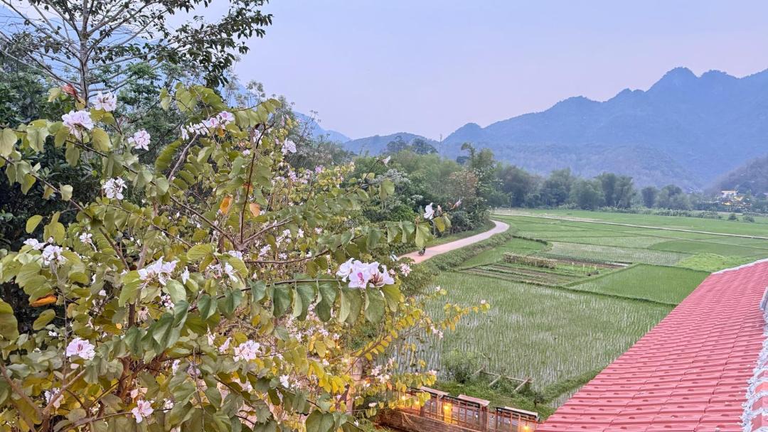 Photo of Others in Mai Chau