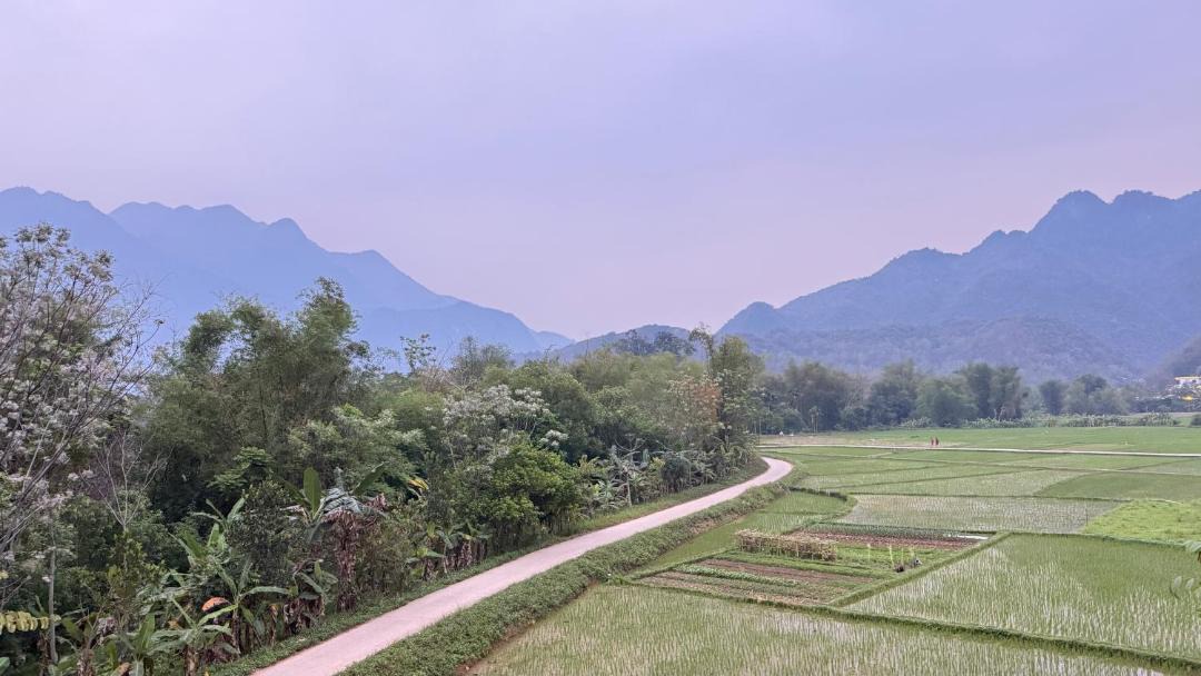 Photo of Others in Mai Chau