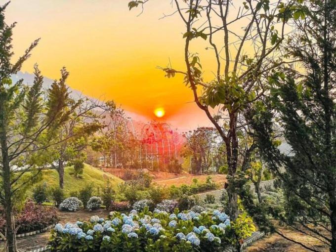 Photo of Others in Da Lat