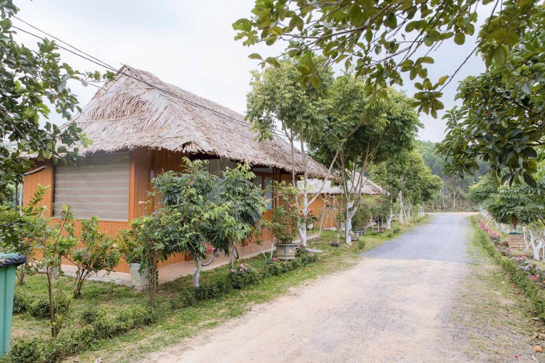 Photo of Others in Nghia Dan