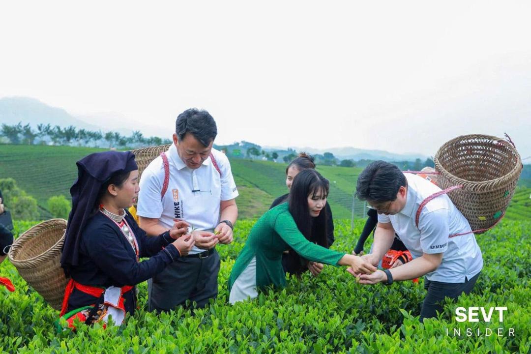 Photo of Others in Dai Tu