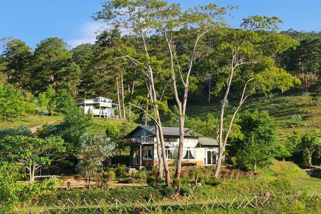 Photo of Others in Lac Duong