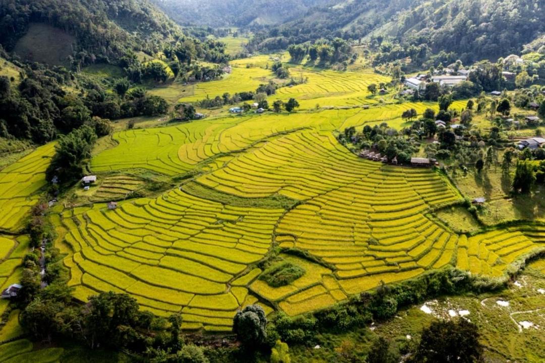Photo of Others in Mae Hong Son