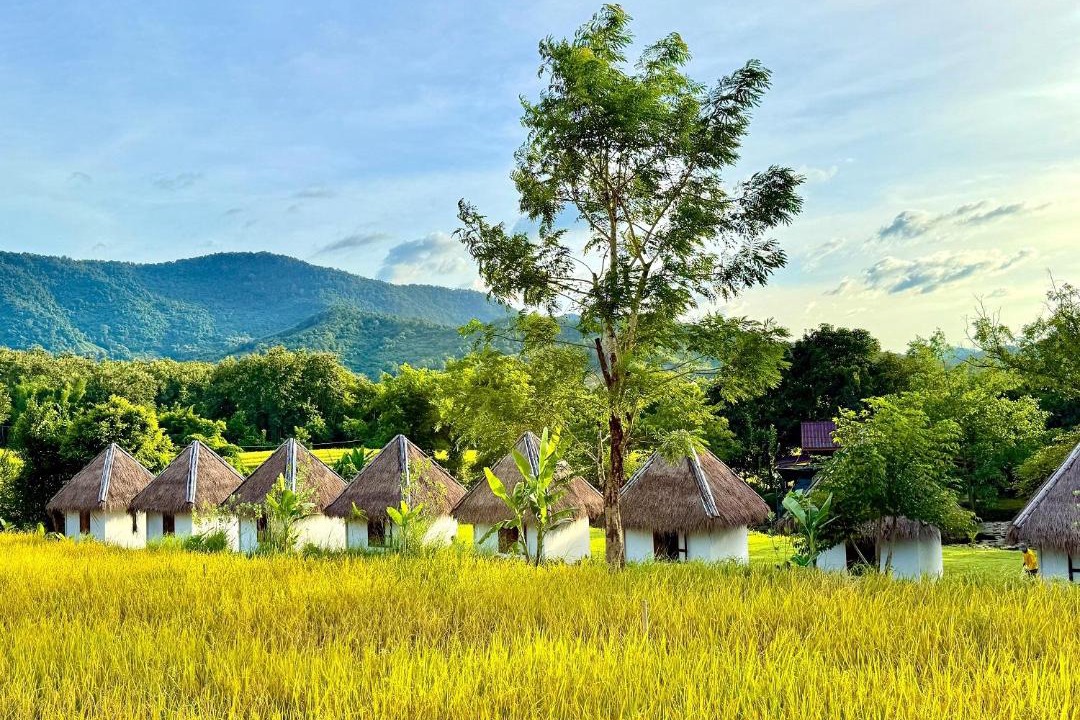 Photo of Others in Luang Prabang