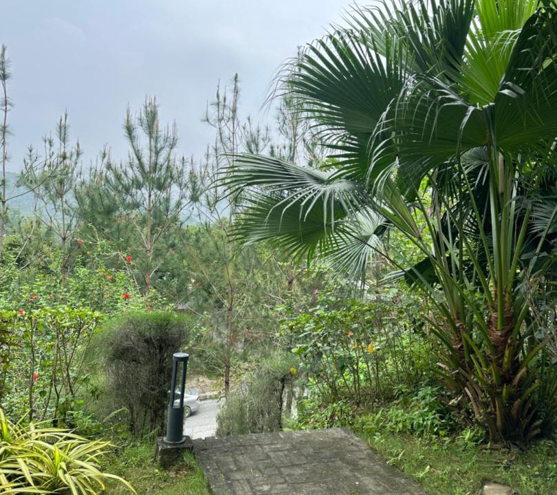 Photo of Others in Luong Son