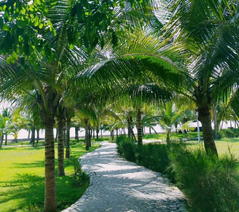 Photo of Outdoor in Hoang Hoa