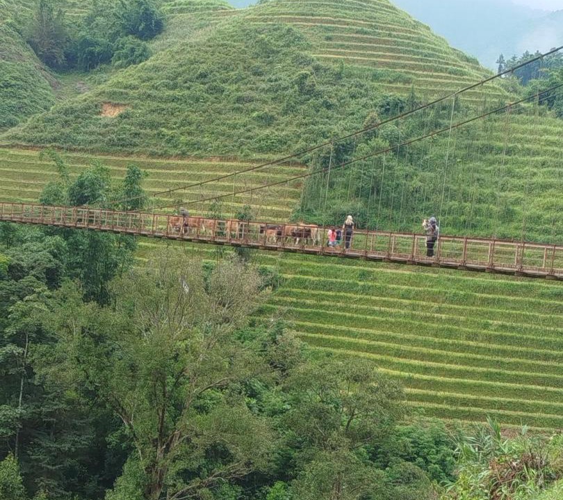 Photo of Others in Hau Thao