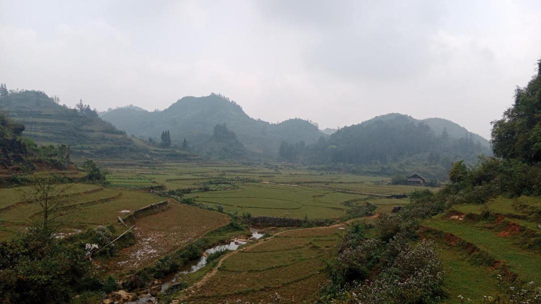 Photo of Others in Ban Pho