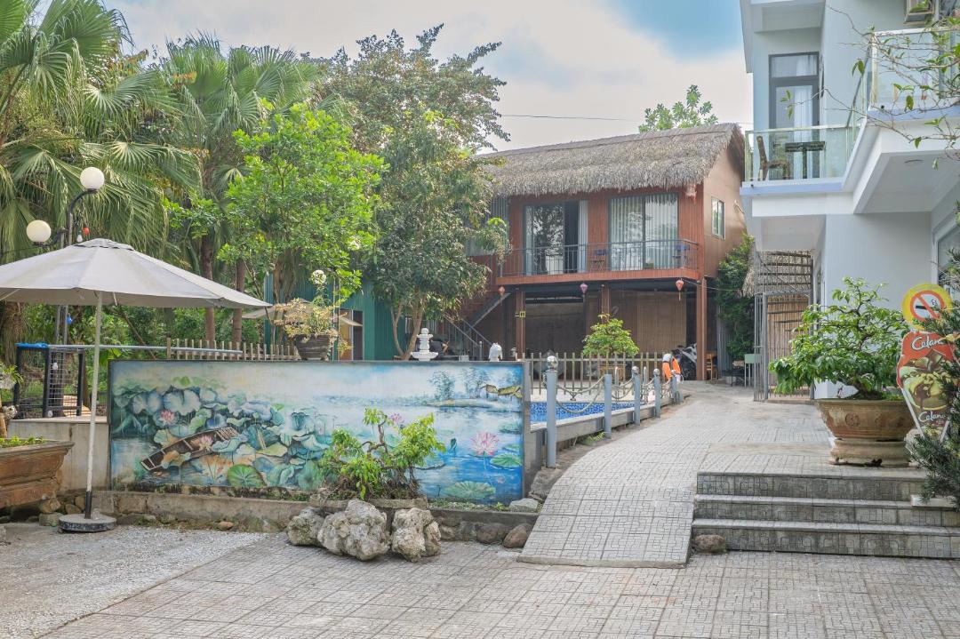 Photo of Others in Thuy Xuan
