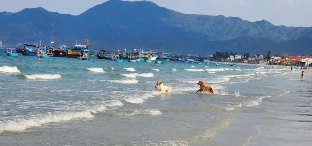 Photo of Others in Ninh Hoa