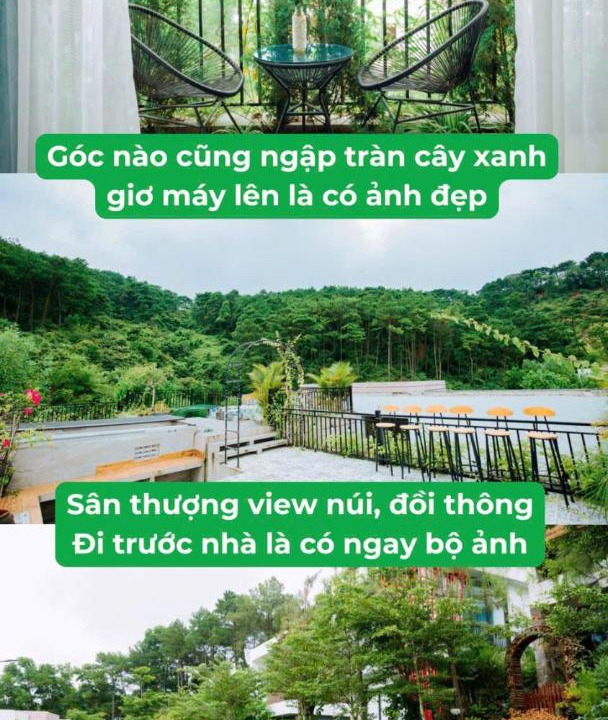 Photo of Others in Phuc Yen