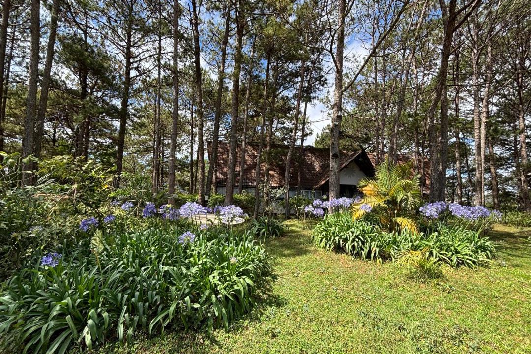 Photo of Others in Da Lat
