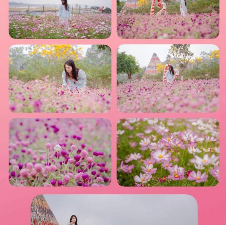 Photo of Others in Thanh Thuy