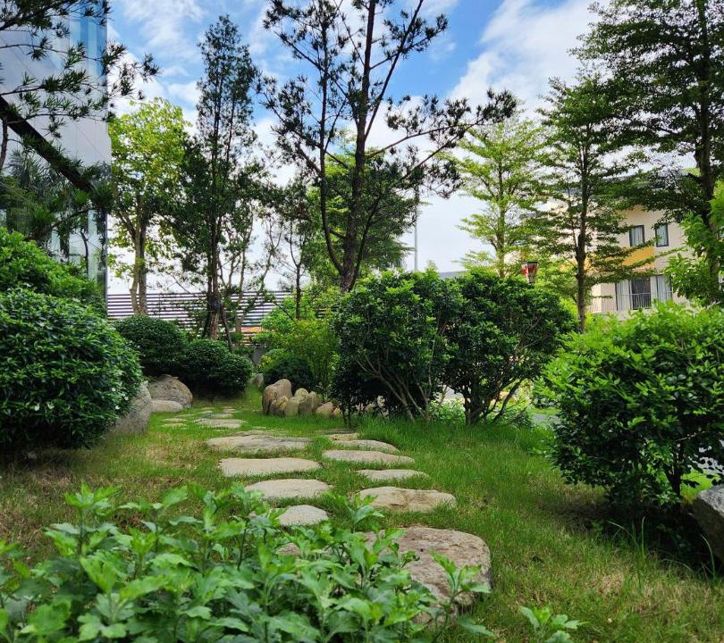 Photo of Outdoor in Thanh Thuy