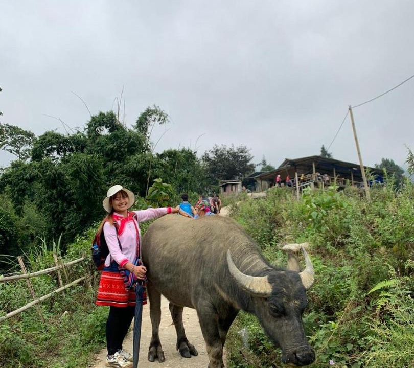 Photo of Others in Hau Thao