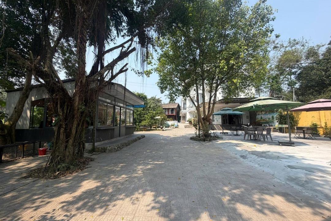 Photo of Others in Thuy Xuan