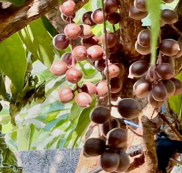 Photo of Others in Buon Ma Thuot