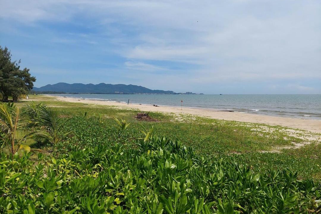 Photo of Others in Long Hai