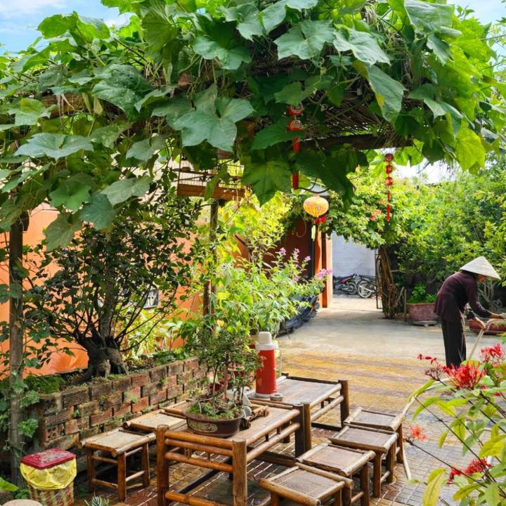 Photo of Others in Ninh Hai