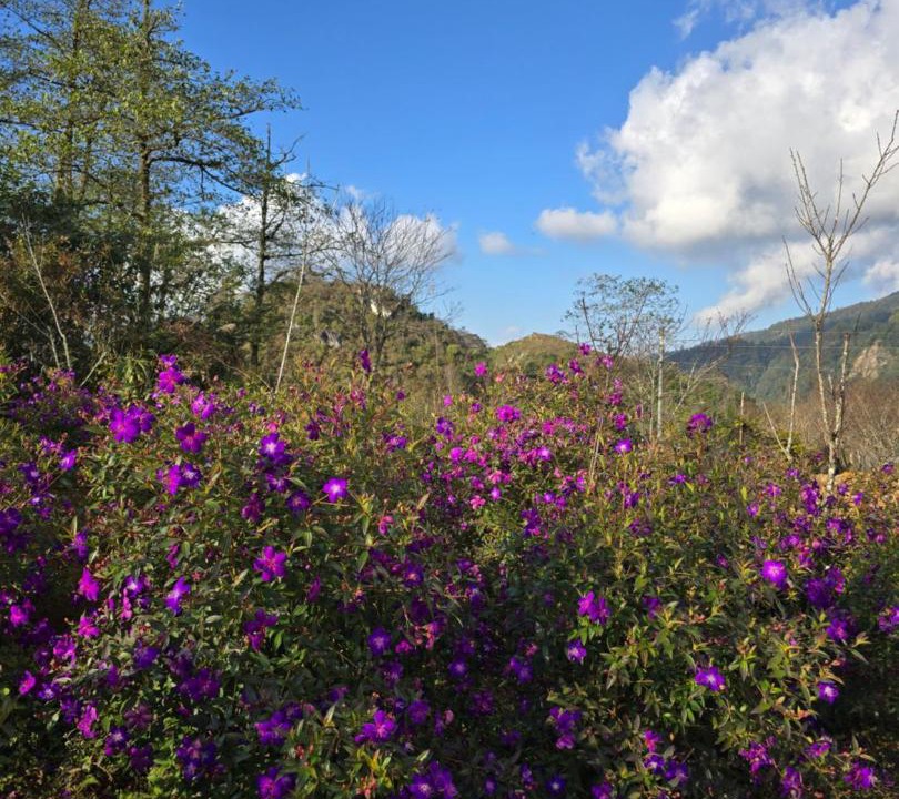 Photo of Outdoor in Hau Thao