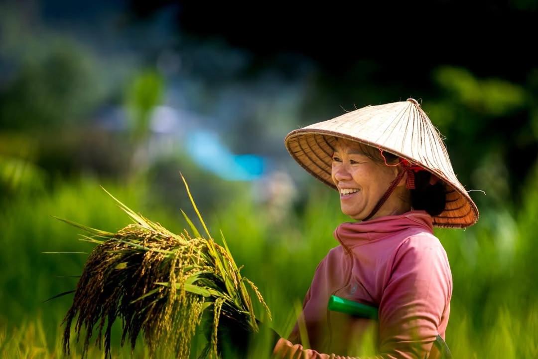 Photo of Others in Mai Chau