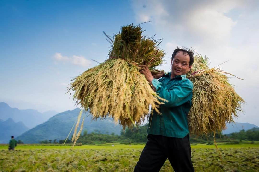 Photo of Others in Mai Chau