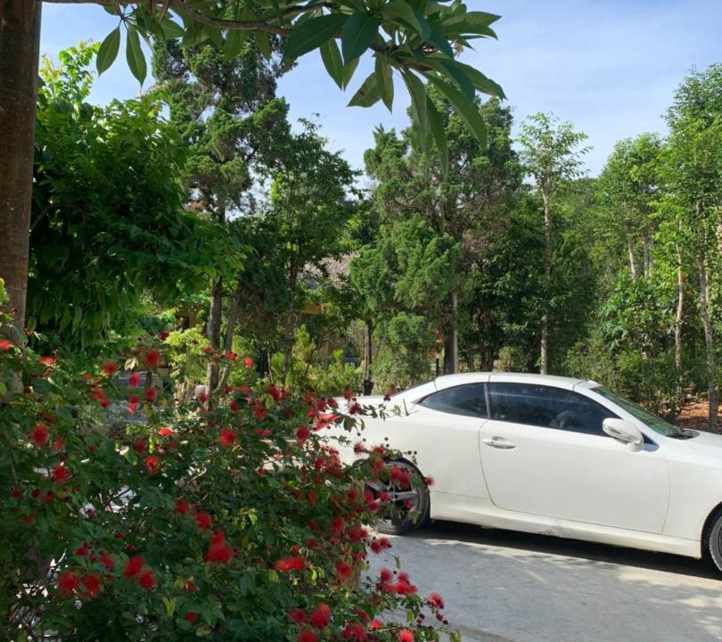 Photo of Outdoor in Thuy Xuan