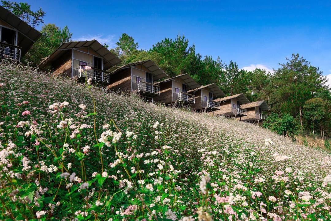 Photo of Others in Mu Cang Chai