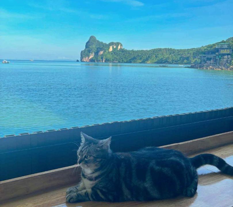 Photo of Others in Ko Phi Phi