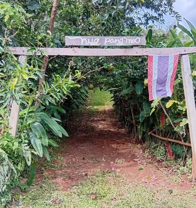Photo of Others in Mae Tha