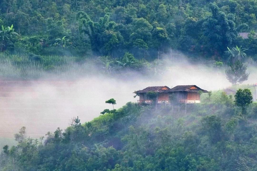 Photo of Others in Mu Cang Chai