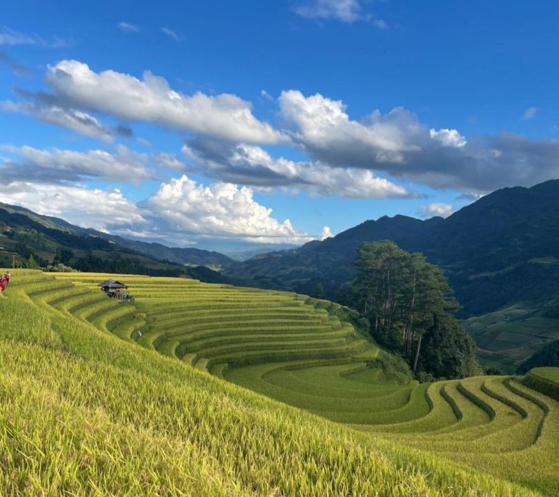 Photo of Others in Mu Cang Chai