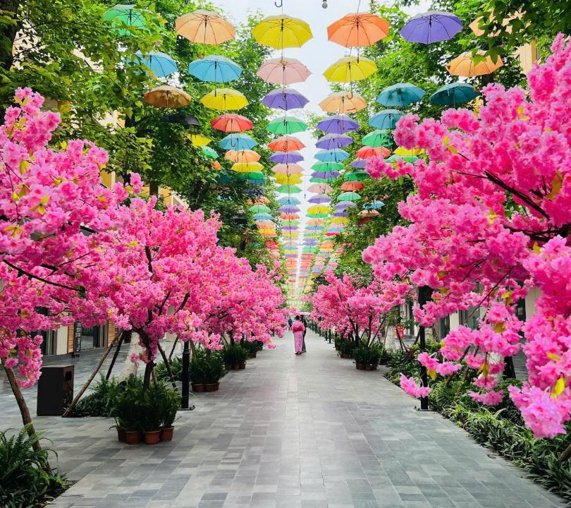 Photo of Others in Thanh Thuy