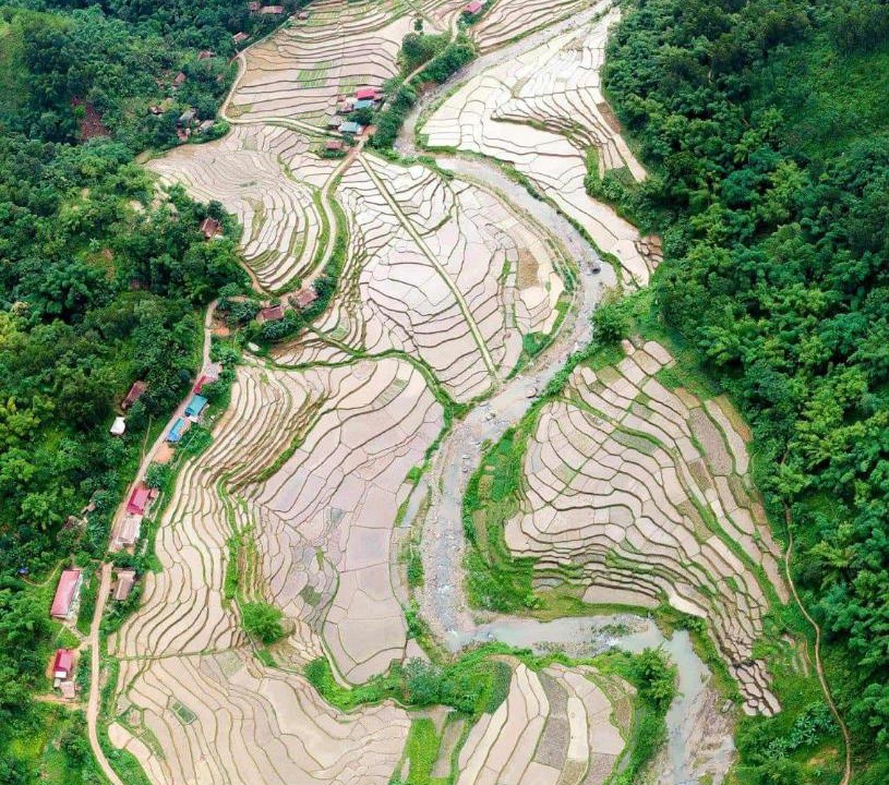 Photo of Others in Pu Long Nature Reserve
