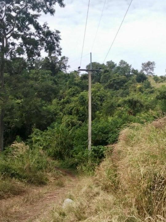 Photo of Others in Wichian Buri