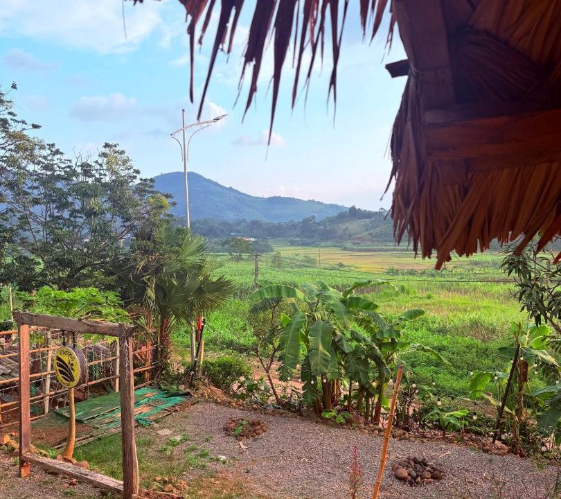 Photo of Others in Cao Phong