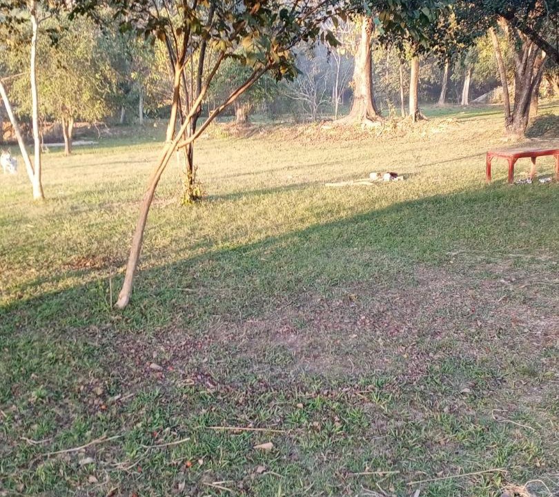 Photo of Outdoor in Louangphabang