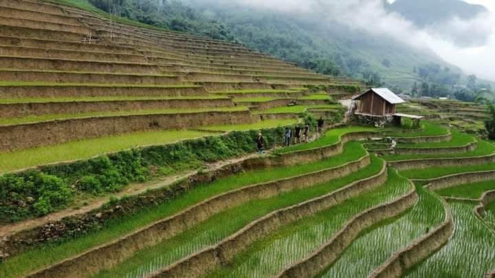 Photo of Others in Hau Thao