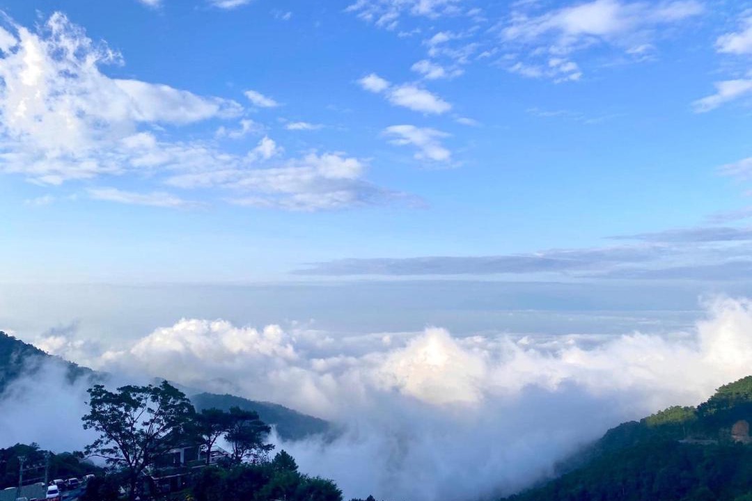 Photo of Others in Tam Dao